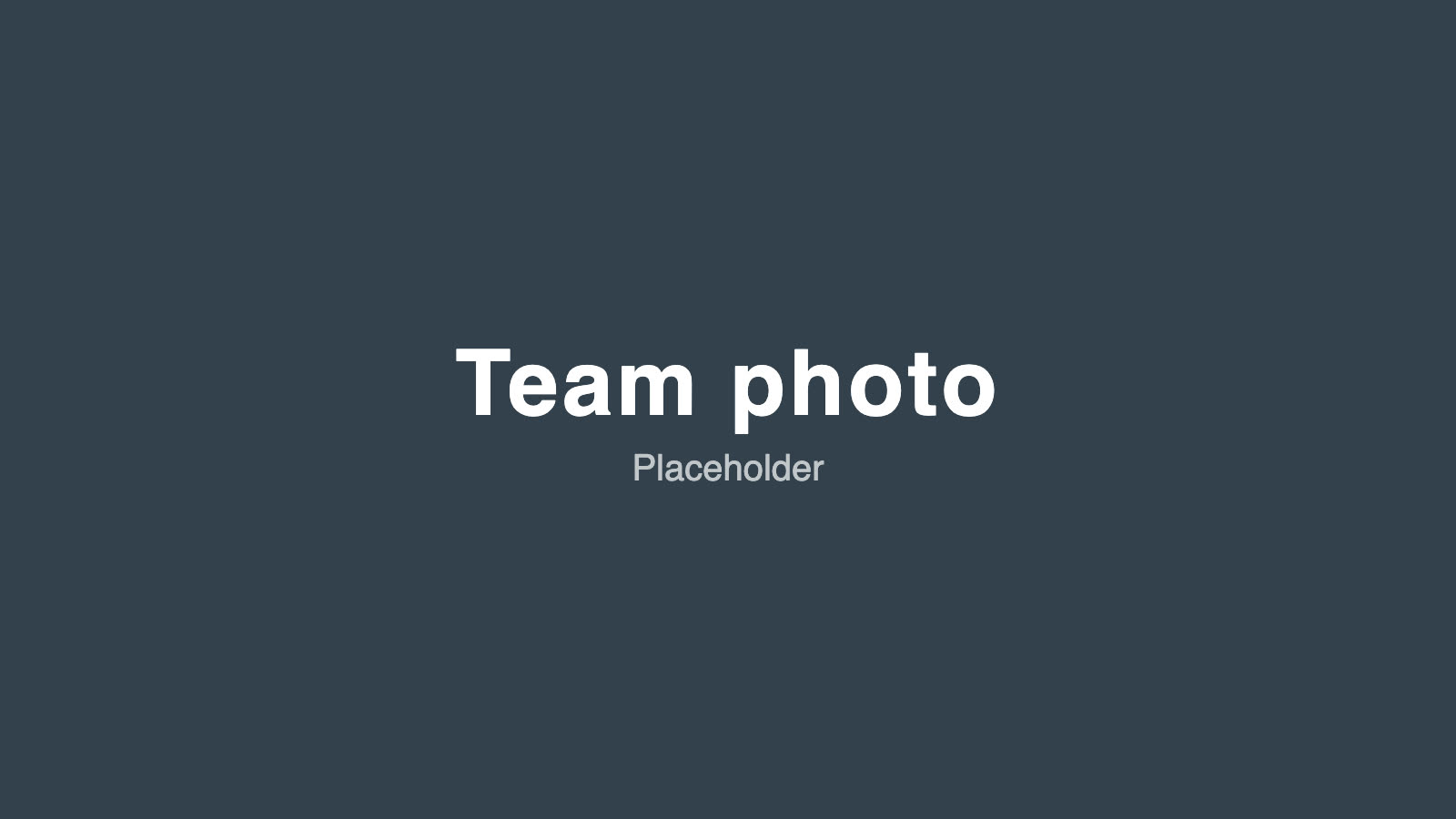 Placeholder team photo